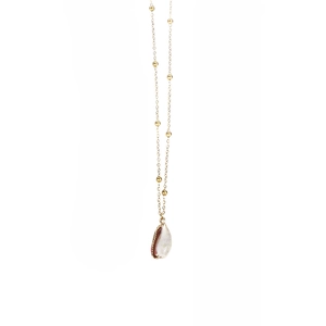 Detail of gold beaded chain necklace with a natural seashell pendant on white background
