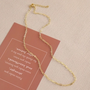 Elegante collana a catena a graffetta dorata con chiusura a moschettone e estensione