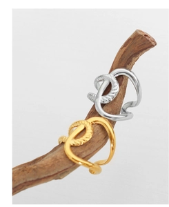 Detailaufnahme des verschlungenen Rings mit goldener und silberner Metalloberfläche