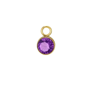 Macro detail of a round birthstone pendant with purple crystal in a gold stainless steel base