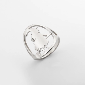 Detailweergave van het holle heksensilhouet op de roestvrijstalen Halloween ring