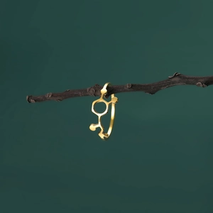Artistic gold science molecule ring hanging on a dark wood branch with green background
