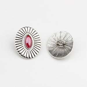 Macro view of vintage silver alloy oval buttons with red marquise stone and relief texture