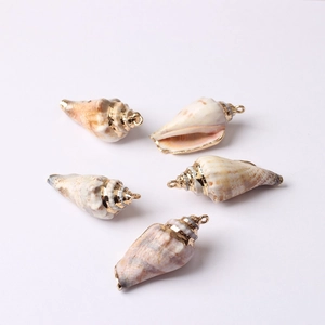 Détails de pendentifs en coquillage naturel avec bordure dorée pour création de bijoux