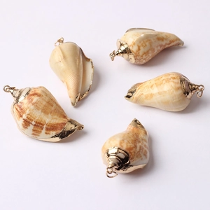 Gros plan de pendentifs en coquillage naturel avec bordure dorée et boucles en métal