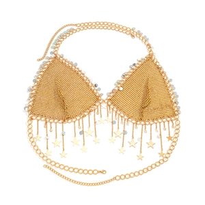 Detail of gold sequin star fringe body chain bikini top with mesh structure