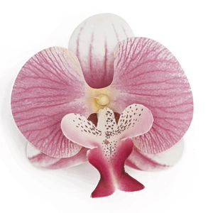 Detailansicht des Orchideenanhängers aus Seide mit feiner Textur und lila Streifenmuster