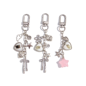 Detail of silver cat charms with heart pendant and pink frosted star on keychain