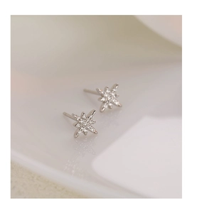 Dettaglio macro degli orecchini a stella in argento con zirconi luccicanti