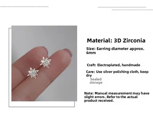 Vista macro di orecchini a stella da 6mm con zirconi bianchi e finitura argento