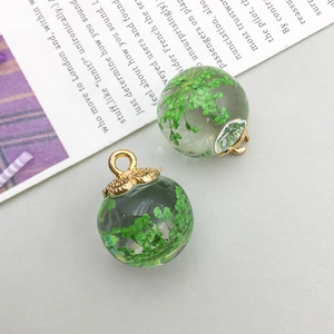 Detailed macro view of globe glass pendants with natural dried green flowers inside