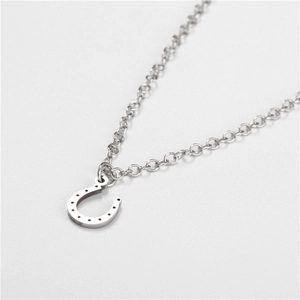 Macro view of a silver stainless steel horseshoe pendant on a thin link chain