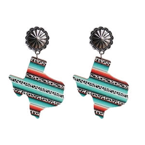 Vintage Texas map earrings with leopard pumpkin patterns and silver daisy studs