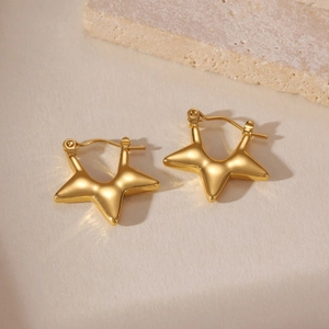 Dettaglio orecchini a cerchio a stella in acciaio inossidabile placcato oro 18k