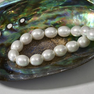 Iridescent white oval pearls displayed in an abalone shell for DIY jewelry making