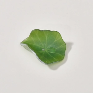 Macro detail of leaf-shaped acrylic tray with frosted edges and vein texture