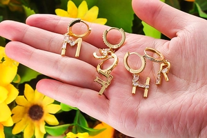 Detail von goldenen Buchstaben-Ohrringen mit Zirkonia-Steinen vor Blumenhintergrund