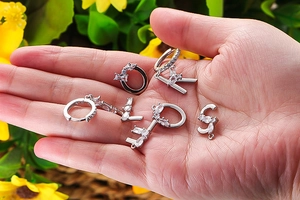 Details von silbernen Buchstaben-Anhängern mit Zirkonia-Inlay auf Blumenhintergrund