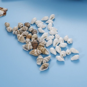 Natural white and brown sea shell collection for DIY summer ocean jewelry making