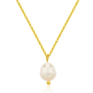 Elegante Roestvrijstalen Zoetwaterparel Halsketting Voor Dames Vergulde Onregelmatige Parel Hanger Mode Sieraden Cadeau