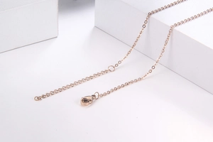 Detail of rose gold extender chain with lobster clasp on minimalist titanium necklace