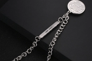 Macro detail of silver necklace with lion relief round pendant and engraved bar charm