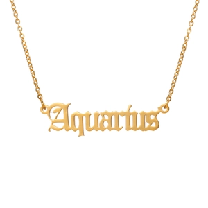 Collar minimalista de acero inoxidable dorado con colgante de Acuario en estilo gótico