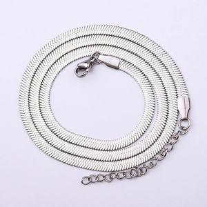 Detail van gepolijste zilveren platte slangenketting met karabijnsluiting en verlenging