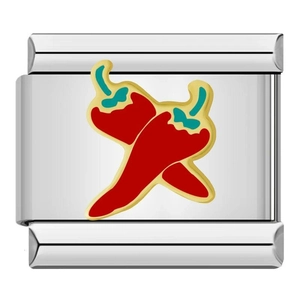Macro detail of Italian modular charm with red chili pepper enamel design on steel