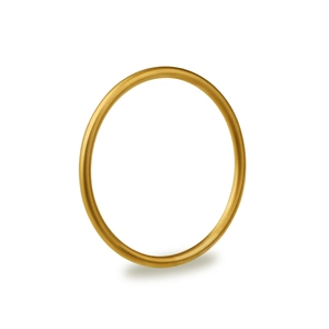 Minimalist 18k gold plated titanium steel bangle with a matte brushed finish for women
