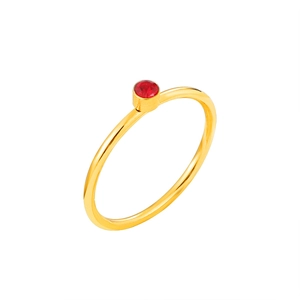 Minimalist gold titanium steel ring featuring a round red zircon in a bezel setting