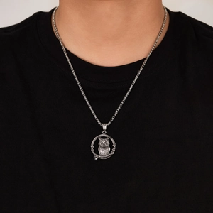 Vintage Roestvrij Staal Uil Hanger Halsketting Voor Heren Retro Dier Hip Hop Sieraden Met Box Ketting Zilver