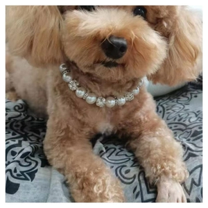 Elegante Haustier Künstliche Perlen Halskette Strass Legierung Verstellbar Harz Künstliche Perle Halsband Für Hunde Katzen Deko Haustier Schmuck