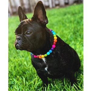 Rainbow Bead Pet Necklace For Dogs Cats Adjustable Colorful Resin Jewelry With Metal Clasp Fashion Puppy Neck Chain