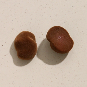 Détail de pièces ovales floquées marron pour fabrication de boucles d'oreilles DIY
