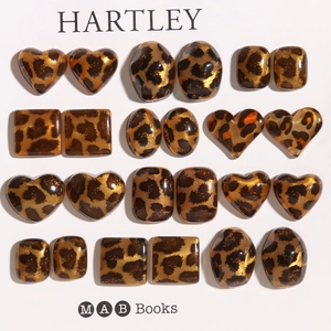 Macro-opname van diverse acryl luipaardprint hart en vierkante oorbel accessoires