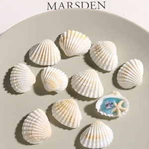 Set de conchas marinas con estrella de mar y circón corazón para joyería DIY