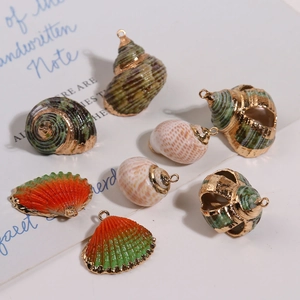 Détail macro de coquillages naturels avec bordure en métal doré pour bijoux DIY