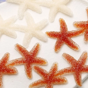 Seestern DIY Anhänger mit Zuckertextur in Weiß und Orange für Haare und Handyhüllen