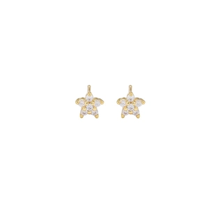 Detailed view of gold star stud earrings featuring cluster of clear round zircon stones