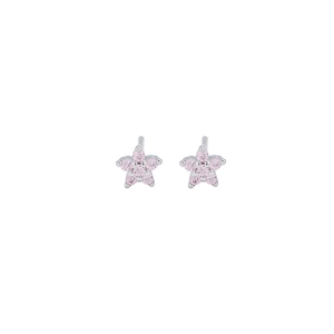 Detailed macro shot of silver star stud earrings with sparkling pink cubic zirconia stones
