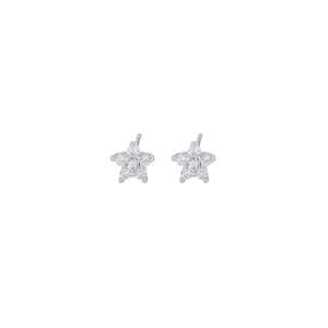 Detail shot of silver five-point star stud earrings with clear zircon stones on white backdrop
