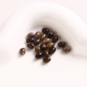 Close-up of polished 6mm oval natural stone beads with dark brown textures in white tray