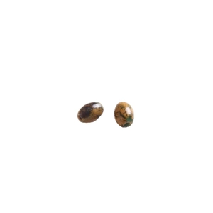 Pair of 6mm oval natural stone beads with green mottled texture for DIY jewelry making