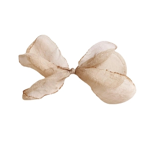 Elegante fiocco in tulle color champagne con design a rete leggera e semitrasparente