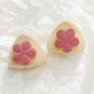 Vista detallada de dos pinzas de pelo de gato en terciopelo crema con flores rosadas