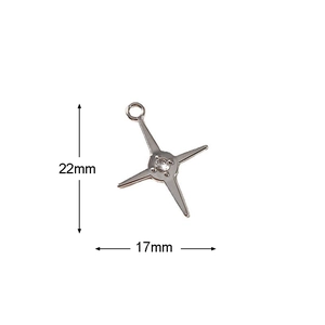 Macro-opname van zilveren sterhanger met zirkoon, 22mm x 17mm sieradenaccessoire