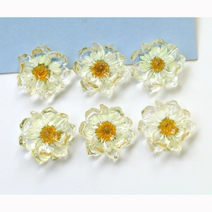 Japanese Style Clear Resin Daisy Dried Flower DIY Accessory For Earrings Hairpins Phone Cases Handmade Jewelry Supplies