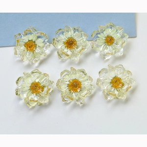 Macro detail of transparent resin pendants with yellow dried daisy flowers for DIY jewelry