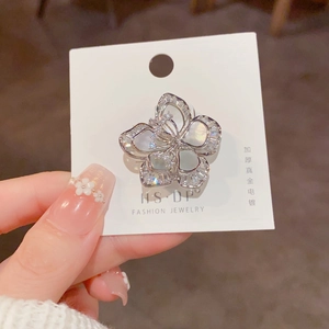 Broche fleur argentée de luxe avec zircons et pétales en nacre sur une carte